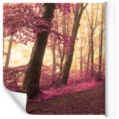 Fototapeta Las we Mgle JESIEŃ Drzewa do Salonu 300x210