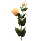 Eustoma pojedyncza łososiowa 6 szt