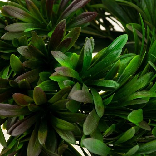 WIANEK STROIK OZDOBNY SZTUCZNY JESIENNY GĘSTY NA DRZWI OKNO GAŁĄZKA na Arena.pl