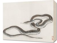 product-compare-59579517