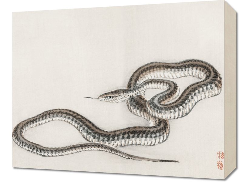 Obraz 50x40cm Snake, Kōno Bairei zdjęcie 1