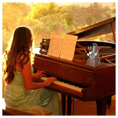 DNA MET1 METRONOM MECHANICZNY Z DZWONKIEM DO PIANINA GITARY SKRZYPIEC na Arena.pl