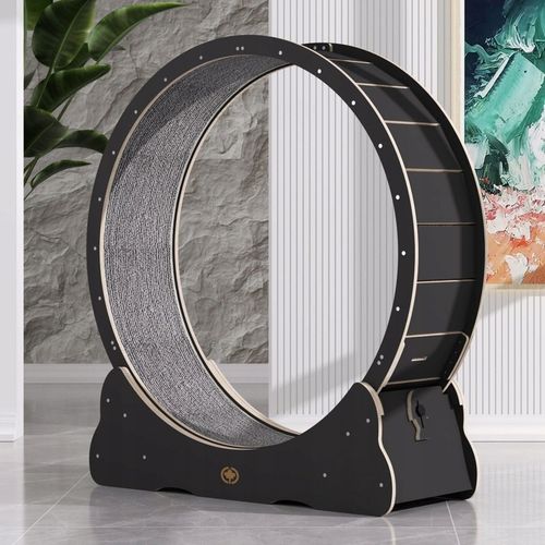 Canadian Cat | Bieżnia dla KOTA L | BLACK EDITION | czarna na Arena.pl