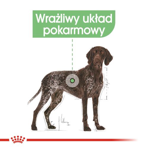 royal canin ccn maxi digestive care 12kg na Arena.pl