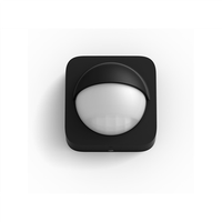 Philips Hue | Czujnik ruchu | Czarny