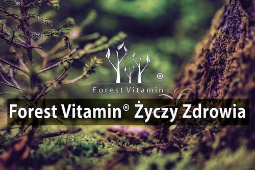 GLUKOZAMINA 2KCL 1000mg 100 KAPSUŁEK STAWY MOCNA na Arena.pl