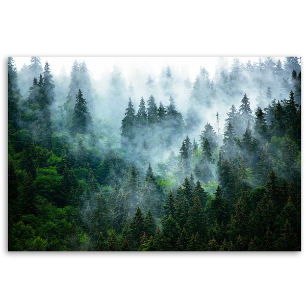 Emaga Obraz na płótnie, Las we mgle - 60x40 zdjęcie 3
