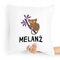 Poduszka Zabawny Prezent Melanż Z Nadrukiem Ze Zdjęciem