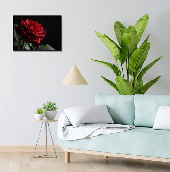 Plakat 55x40cm Róża w Półcieniu zdjęcie 4
