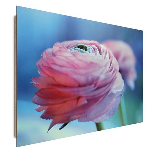 Deco Panel, Kwiaty piwonii 98x68 na Arena.pl