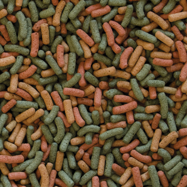 tropical biorept w 250ml na Arena.pl