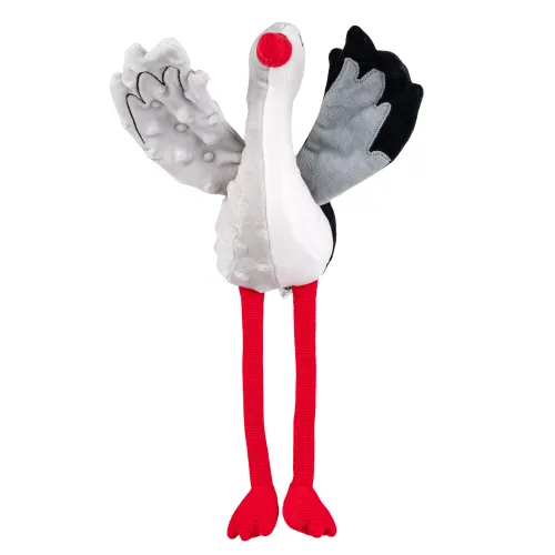 Bocian Sensoryczny na Arena.pl