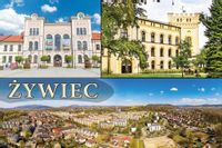 Żywiec III – magnes