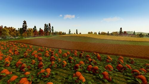 Farm Manager 2018 na Arena.pl