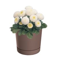 Doniczka z podstawką okrągła Ø10,8 cm matowa kolor różowy