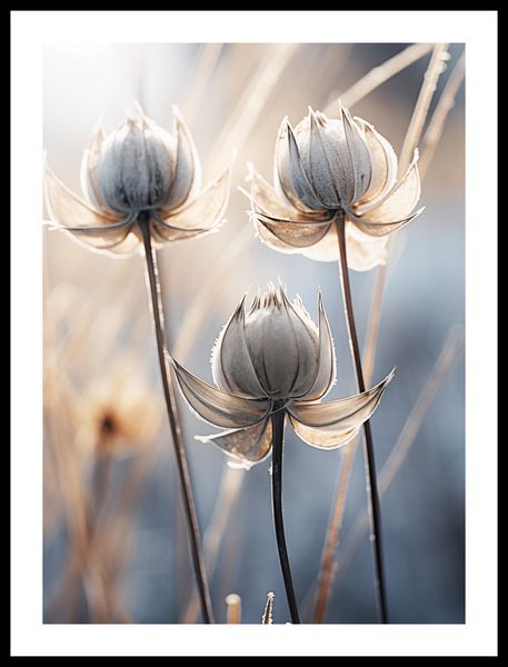 Plakat 40x55cm Poetycka Jesień zdjęcie 3