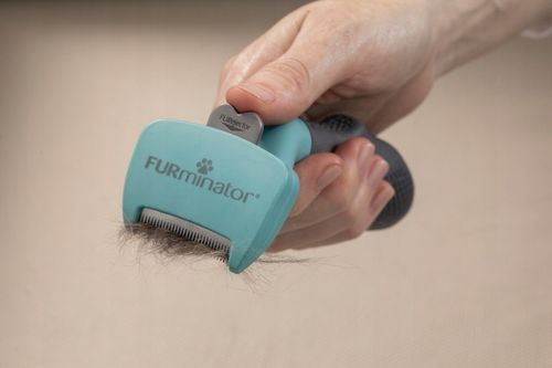 FURminator dla kotów krótkowłosych średnich dużych sierść krótka M/L Large na Arena.pl