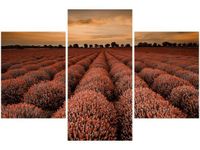 90X60CM OBRAZ OSZAŁAMIAJĄCY KRAJOBRAZ LAWENDĄ POMARAŃCZU TRZY OBRAZY