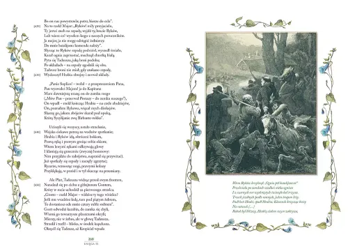 Pan Tadeusz na Arena.pl