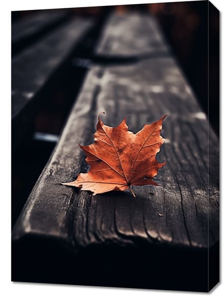 Obraz 50x70cm Pojedynczy Liść zdjęcie 1