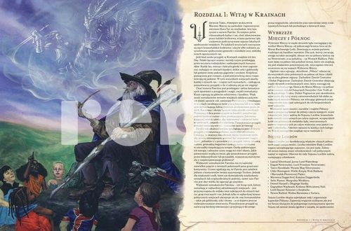 D&D WYBRZEŻE MIECZY DODATEK na Arena.pl