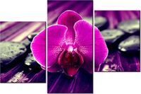 60 90CM OBRAZ 3 ELEM FIOLETOWE SPOJRZENIE ŚCIENNY DRUK PŁÓTNO