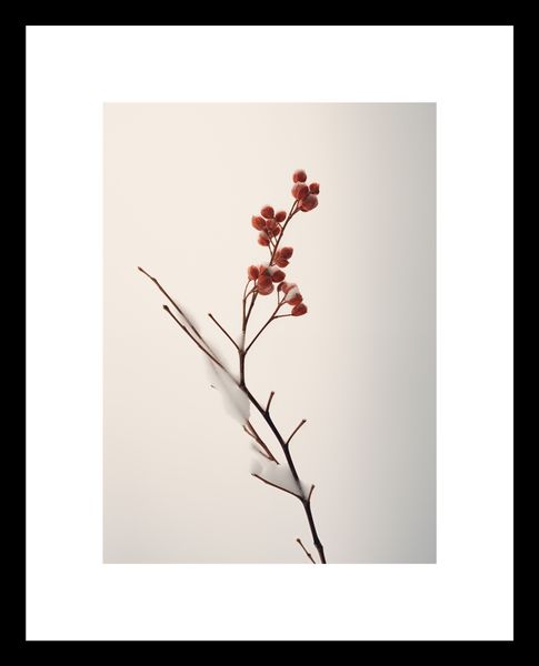Plakat 13x18cm Subtelna Siła Zimy zdjęcie 3