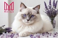 8x ŻWIREK SILIKONOWY LAWENDOWY dla kota bezpyłowy PREMIUM naturalny 3,8L