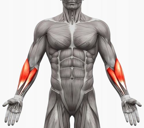 ŚCISKACZ DO RĄK DŁONI Z REGULACJĄ 10-100kg na Arena.pl