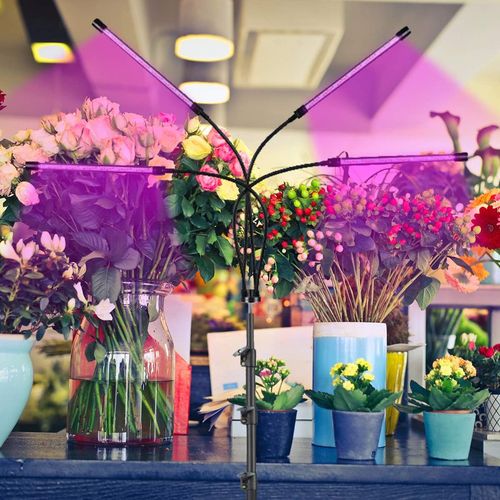 Lampa do Roślin LED Uprawy Wzrostu Panel x 4 Timer dla Doświetlania + Pilot na Arena.pl