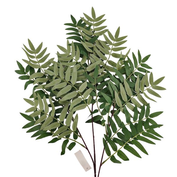 Gałązka sumak zielony zdjęcie 1