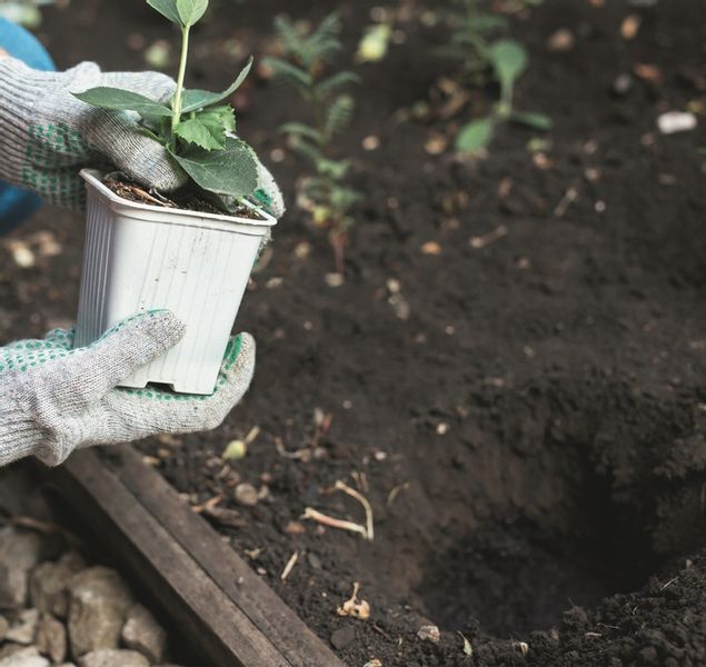 Spalinowy Świder Ziemny Wiertnica Spalinowa Glebowa 2 Wiertła SCHEPPACH zdjęcie 14