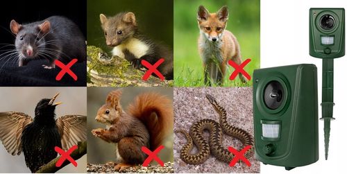 ODSTRASZACZ ULTRADŹWIĘKOWY ZWIERZĄT GRYZONI KOTÓW PSÓW DZIKÓW PTAKÓW na Arena.pl