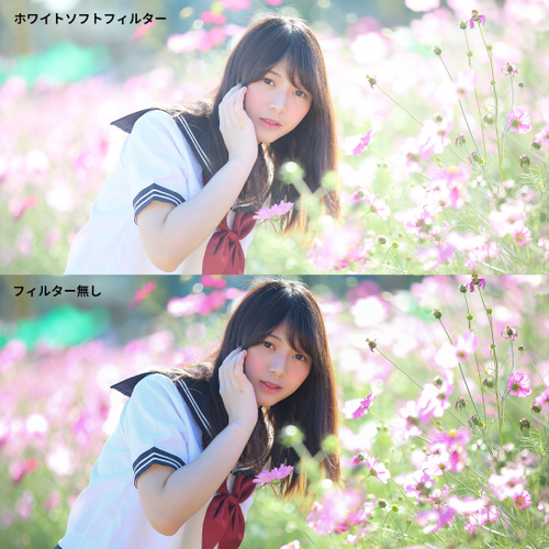 Filtr dyfuzyjny K&F Concept Nano-C HMC White Mist - 67 mm na Arena.pl