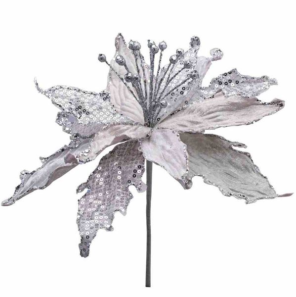 SW/KW/STAR/1/SR1 zdjęcie 1