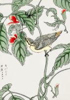 Plakat 21x29,7cm Tree-Creeper. Kashu Japoński Vintage do Salonu