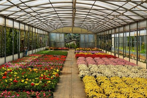 Bio ActiW AGRO ECA 5L dezynfekcja szklarni, wody, owoców, gleby, na Arena.pl