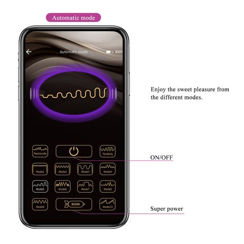 pretty love   baird purple, 12 vibration functions mobile app long na Arena.pl