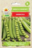 GROSZEK CUKROWY GROCH AMBROSIA WCZESNY NASIONA GROCHU GROSZKU PLENNY 5