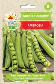 GROSZEK CUKROWY GROCH AMBROSIA WCZESNY NASIONA GROCHU GROSZKU PLENNY 5
