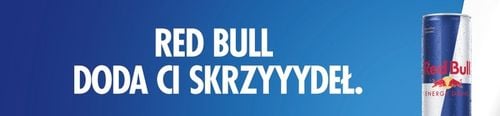 RED BULL Napój Energetyczny Energy Drink 24x250ml ZESTAW na Arena.pl