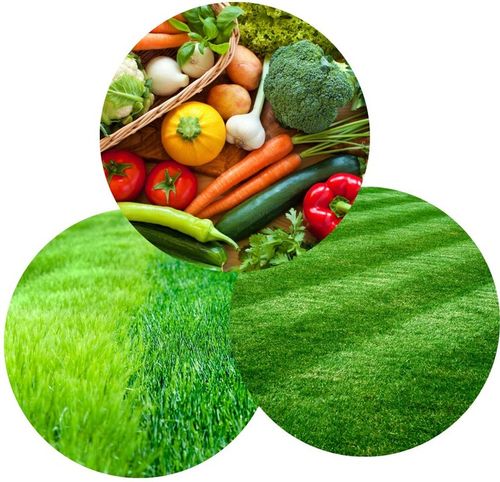 Wapno Granulowane z magnezowe DOLOKORN 25kg |Odkwasza glebę, poprawa na Arena.pl