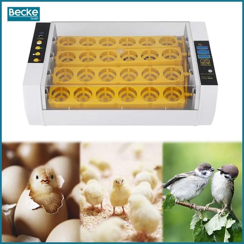 Inkubator klujnik wylęgarnia automatyczna cyfrowy owoskop obracanie jaj 24 na Arena.pl