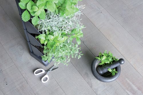 Ogród wertykalny wiszący MINI CASCADE IO1W200 | Antracyt, Wymiary 11.4x19.5x47.5 cm, Kolor Antracyt, Prosperplast na Arena.pl