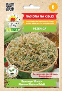 Kiełki Pszenica 50 g nasion na kiełki na Arena.pl