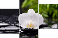 60 90CM OBRAZ 3 ELEM BIAŁA ORCHIDEA ŚCIENNY DRUK PŁÓTNO