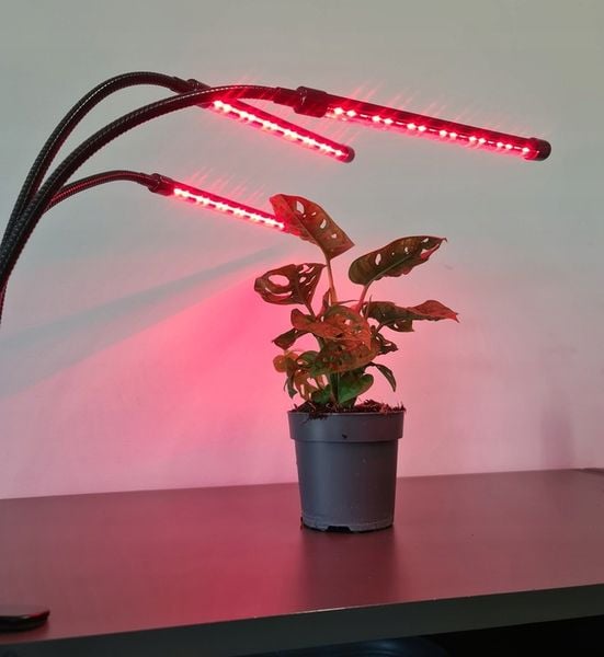 3 x Lampa do Wzrostu Roślin 60 LED Timer + Pilot zdjęcie 12