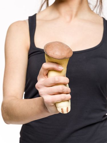 Antystresowy grzyb - MATSUTAKE na Arena.pl