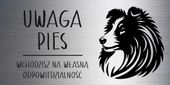 Tabliczka 20x10 cm UWAGA PIES Owczarek szkocki LAMINAT Z GRAWEREM