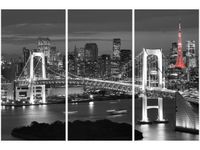 60 90CM OBRAZ 3 ELEM TOKYO MOST TĘCZOWY DRUK PŁÓTNO RAMA